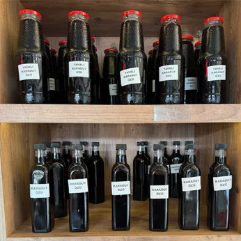 DOĞAL ÜRÜNLER